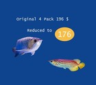 4x250 G  Hikari Tropical Food Sticks Arowana Carnivore Food Pellet Floating