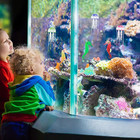 8 Pcs Glow In The Dark Fish Tank Decorations Silicone Floating Artificial Jellyf