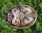 Antique Iridescent Art Glass Hatpin Top Scarab Hat Pin