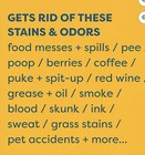 Kids  n  Pets - Instant All-purpose Stain   Odor Remover     128 Fl Oz