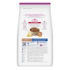 Hill s Science Diet Adult   Mini Breed Lamb Meal   Brown Rice Dry Dog Food