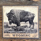 Sticker Wyoming Bufflo Rodeo Poster Bob Coronato Artwork Bufflo Painting 
