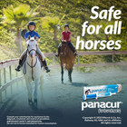 Panacur Dewormer Horse Paste 10   100mg Each Exp 10 2027