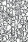 Mini Cobblestone Sizzix 3-d Texture Fades Embossing Folder Tim Holtz 665461 New 