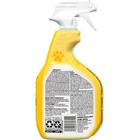 Clorox Pet Urine Remover 24oz Carpet Stain Odor Cleaner Spray 2 Pack