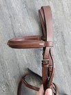 English Bridle   Full Horse Size   Brown Leather   Fancy Raised   Padded