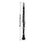 A Key Clarinet Ebonite Wood Nickel Plated Keys 2 Barrels Case Mouthpiece Reed