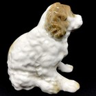 Vintage Cocker Spaniel Brittany Springer Figurine Japan Excellent Ceramic 