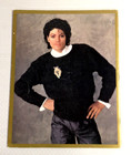 Jacksons Victory Tour - Concert Program - Michael Jackson - Pepsi Edition
