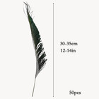 50pcs Natural Peacock Sword Feathers 12-14 Inch For Hat Diy Crafts Arts Wedding