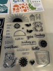 Gina K  Designs Pocketful Of Sunshine Stamp And Die Bundle W magnet Sheet