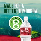 Mountain Spring Water Bottles 24 Pack - Still Bottled Water With Naturally Oc   