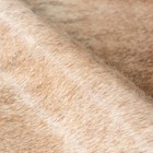 8x7 Feet   Genuine Cowhide Rug Natural Hair Beige Cowhides Cow Hide Skin Brown