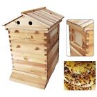 7pcs Auto Seeping Honey Hive Beehive Frames   Beekeeping Wooden Cedarwood House