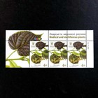 Ukraine 2017 Set Of Stamps  medicinal And Honey-bearing Plants  Top Of The Sheet