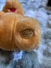 Disney Store Winnie The Pooh Pooh Bear Sitting Plush Toy 13  No Shirt