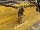 Vintage Big Eagle   falcon  Ussr Russian Hand Carved Wood Figure 