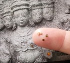 5 Pc Set Worlds Smallest Gold Coins From India Vijayanagar Empire  1336-1646 Ce 