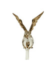 Blown Art Glass Flying Eagle Miniature Perfume Bottle Stopper