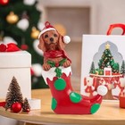 Dachshund Dog In Holiday Sock Christmas Ornament 4 7 