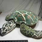 Super Rare Giant Stuffed Animal Turtle By Melissa   Doug
