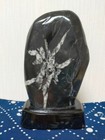 Japanese White Chrysanthemum Kikkaseki Bonsai Stone With Stand Suiseki Fromjapan