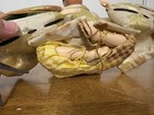 Japanese Hinamatsuri Doll Samurai In Kimono Vintage