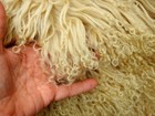 Tibetan Lamb Mohair For Doll Hair Wigs  Reroot   4 X 4  Natural Born Blond