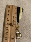 Sons Of The American Revolution Sar Pin Badge Fraternal Organization Vintage 