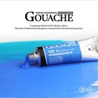 Shinhan Professional Designers Gouache Paint  15ml  24 Color Set A
