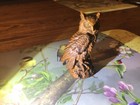 Vintage Wooden Owl Statue Sculpture Figurine Home Decor Boxwood Carved Bird Art