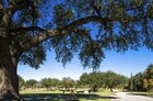 2 Cemetery Plots
