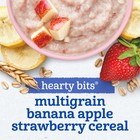 Gerber Toddler Food  Multigrain Banana Apple Strawberry Cereal  8g Whole Gra   