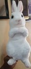 7 8  White Bunny Rabbit Plush Toy Soft Stuffed Animal Doll Gift