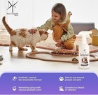 Pet Odor   Stain Remover Spray 500ml Lavender Scent For Dogs And Cats Household 