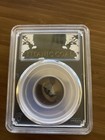 1912 Pcgs Certified Genuine Coal Recovered From Rms Titanic - Big Piece 
