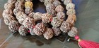 7 Mukhi Rudraksha Mala 55 Beads Nepal Beads Knotted Beads Lab Certified