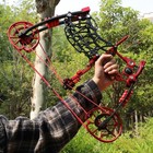 Compound Bow Set 30-70lbs Adjustable Dual-use Arrows Steel Balls Ideal Hunters