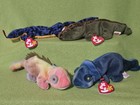Lot Of 4 Ty Beanie Baby Reptile Animal Plush  Ally   Lizzy   Iggy   Rainbow   