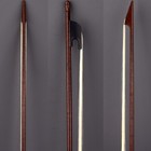 Master Old German Baroque Style Snakewood Violin 4 4 Bow Ebony Frog Antique