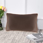 Velvet Decorative Pillow Cushion Covers Pack Of 2 For Couch  2  Coffee Base     