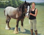 Custom Pet Portrait Oil Painting From Photo  Photo To Oil Painting 100  Handmade