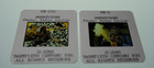 Monkeybone Brendan Fraser Rare Original Movie Slides Lot - 2 Slides