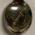 Vintage Souvenir Spoon Us Collectible San Diego Zoo California