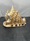 Horned King Helmet Conch Shell Blowing Horn Large 9 5   