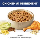 Hill s Science Diet Adult 1-6 Dry Dog Food  5 Pound  pack Of 1   White