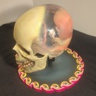 Tool Life-size Fetus In Skull Edition Collectible Display  1721 2100