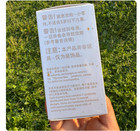 Authentic Disney Christmas Mickey Friends Mystery 1 Pin Box Disneyland 2025