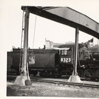 Grand Trunk Western Railroad Train Engine Locomotive No  8323 Antique Photo