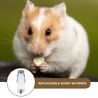 Rabbit Water Bottle Guinea Pig Pet Fountain Small Animal Bunny